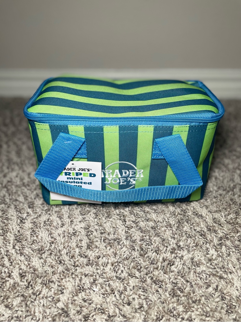 Trader Joe's 2026 Edition Mini Insulated Bag Lunch Bag Green & Gray-Blue Stripe